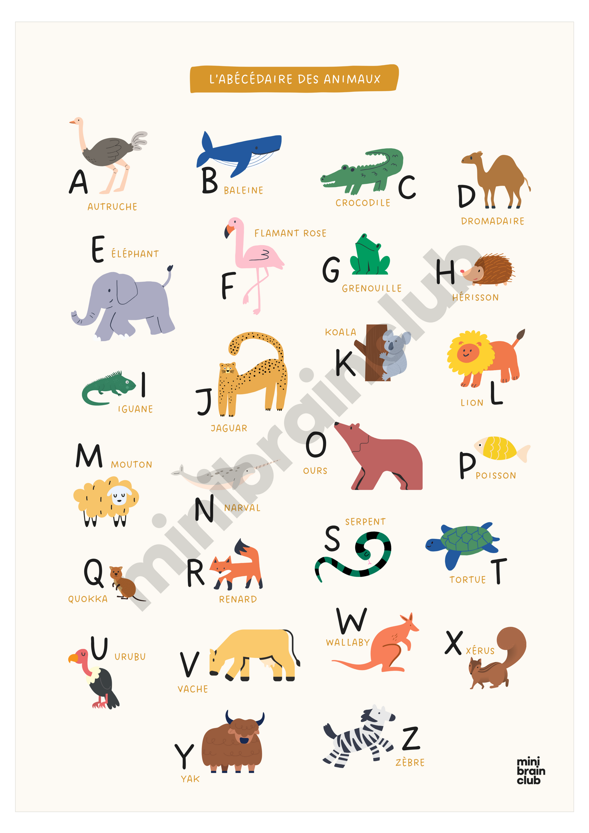 Affiche abécédaire - Animaux