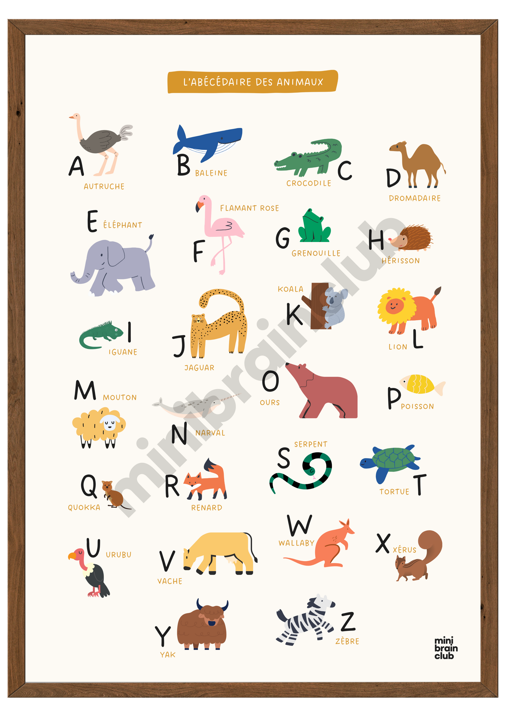 Affiche abécédaire - Animaux