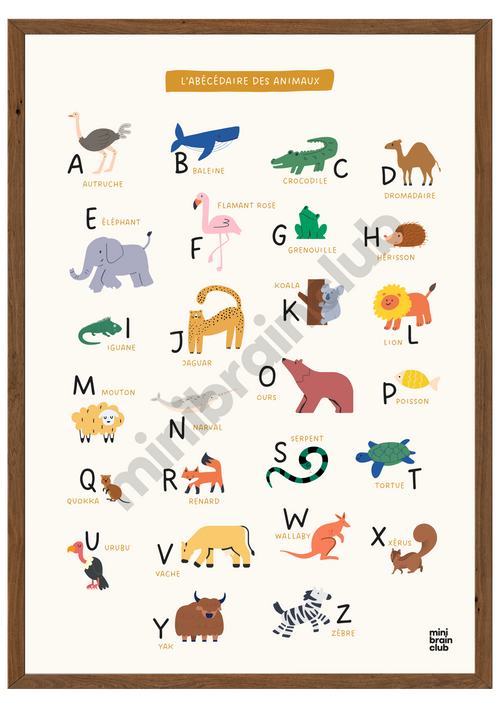 Affiche abécédaire - Animaux